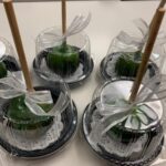 PHOTO-2024-07-31-09-56-24 6